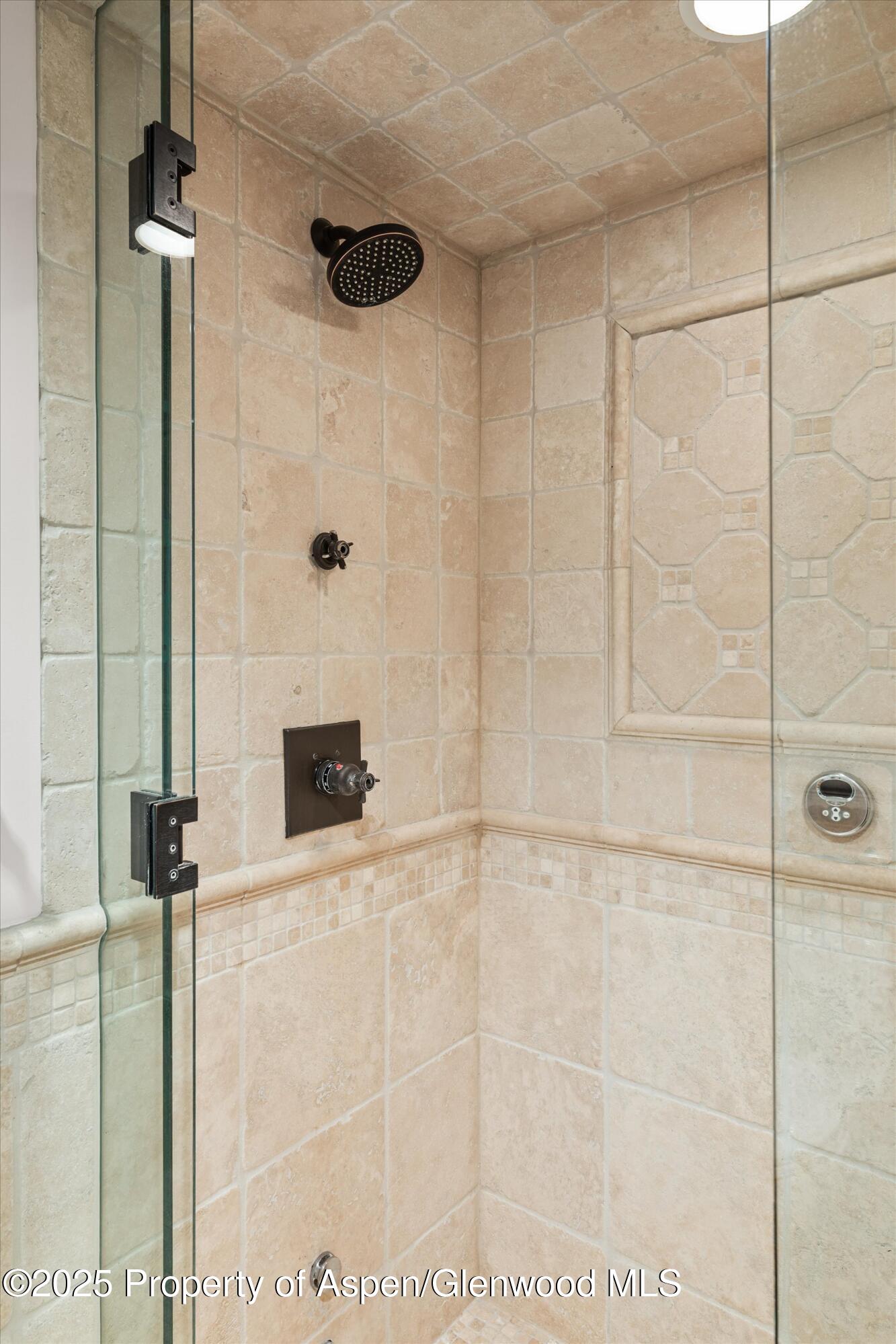 1034 East Cooper Avenue, Unit 16 Aspen, CO 81611 - Photo 14 of 21 Primary Shower