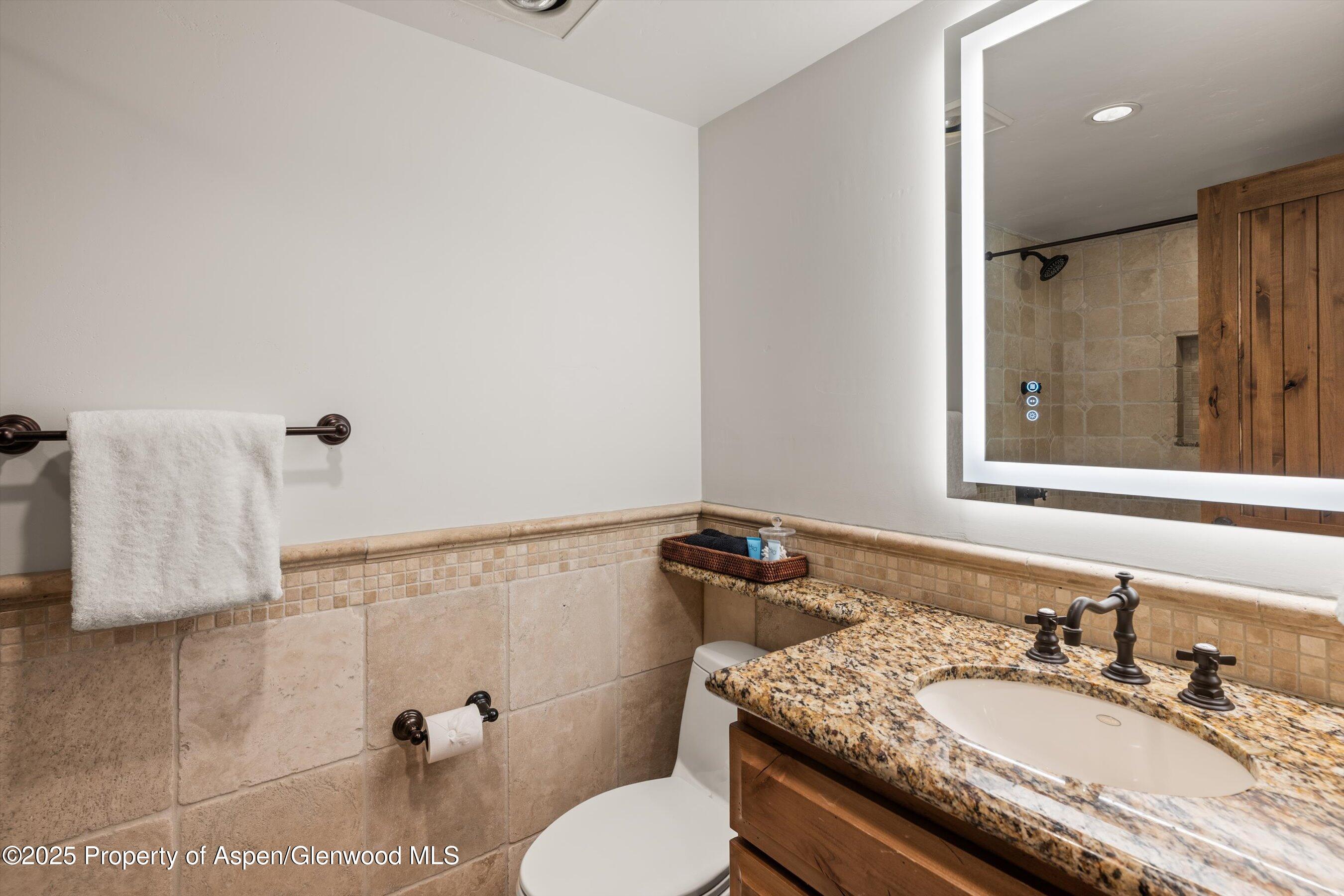 1034 East Cooper Avenue, Unit 16 Aspen, CO 81611 - Photo 16 of 21 Bathroom 2