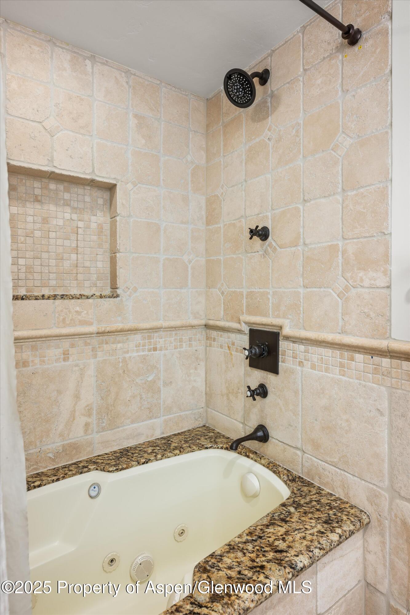1034 East Cooper Avenue, Unit 16 Aspen, CO 81611 - Photo 17 of 21 Bathroom 2 Shower