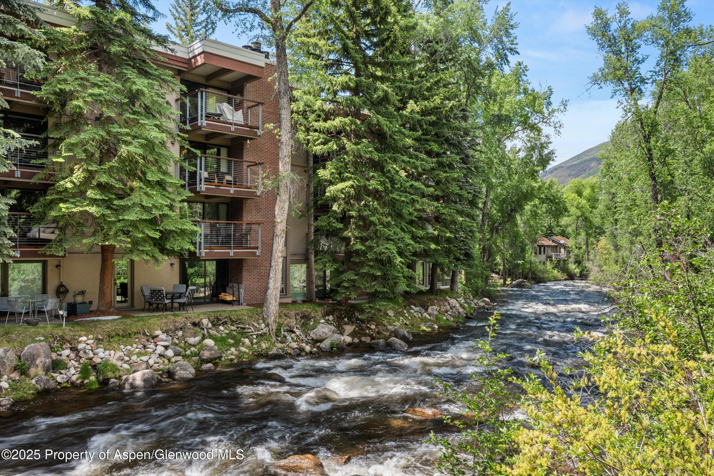Rear on Roaring Fork River