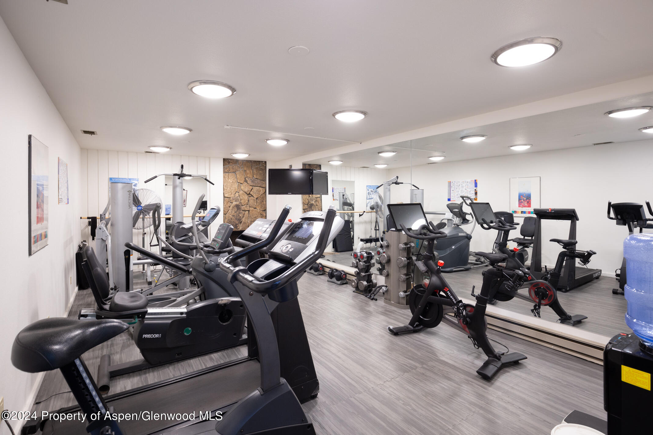 1034 East Cooper Avenue, Unit 16 Aspen, CO 81611 - Photo 21 of 21 Shared Fitness Room