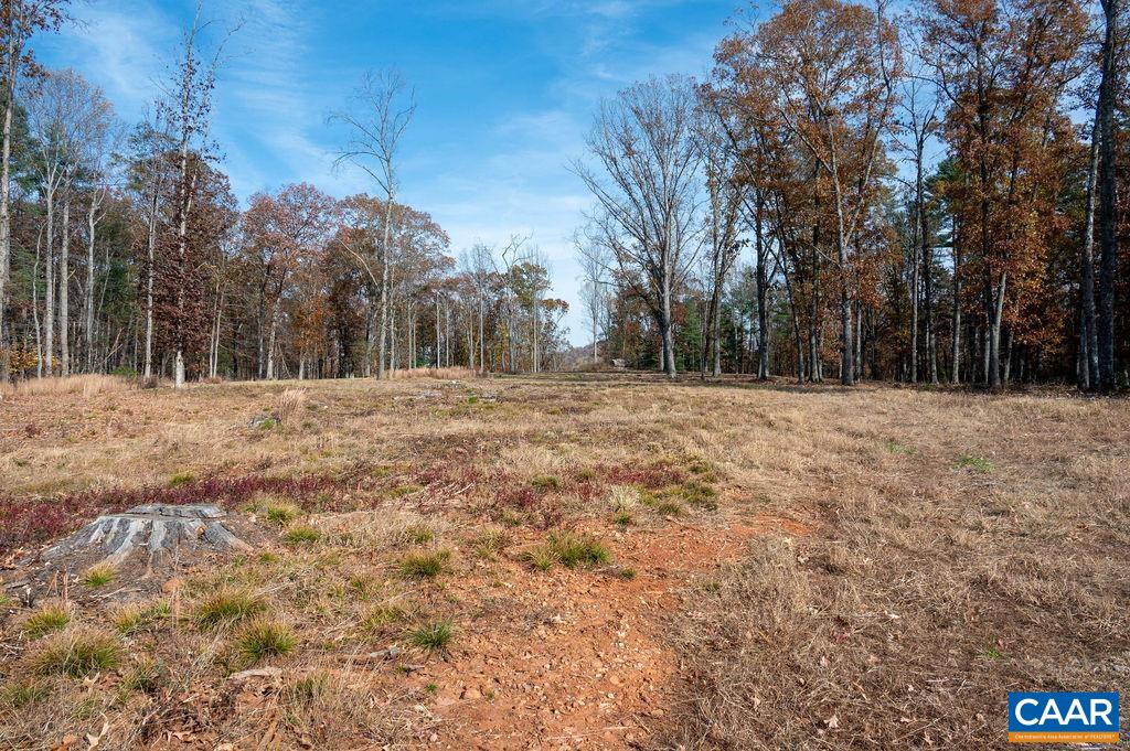 Tbd Red Hill Road Charlottesville, VA 22903 - Photo 6 of 50 a street view with large trees