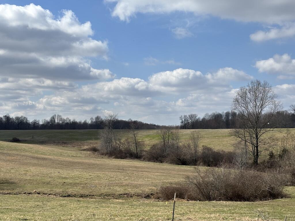 0 Allen Schoolhouse Road Columbia, KY 42728 - Photo 10 of 13 9