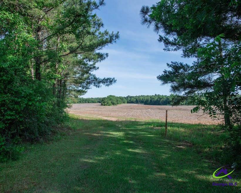 227 Wilson Road Bonaire, GA 31005 - Photo 4 of 6