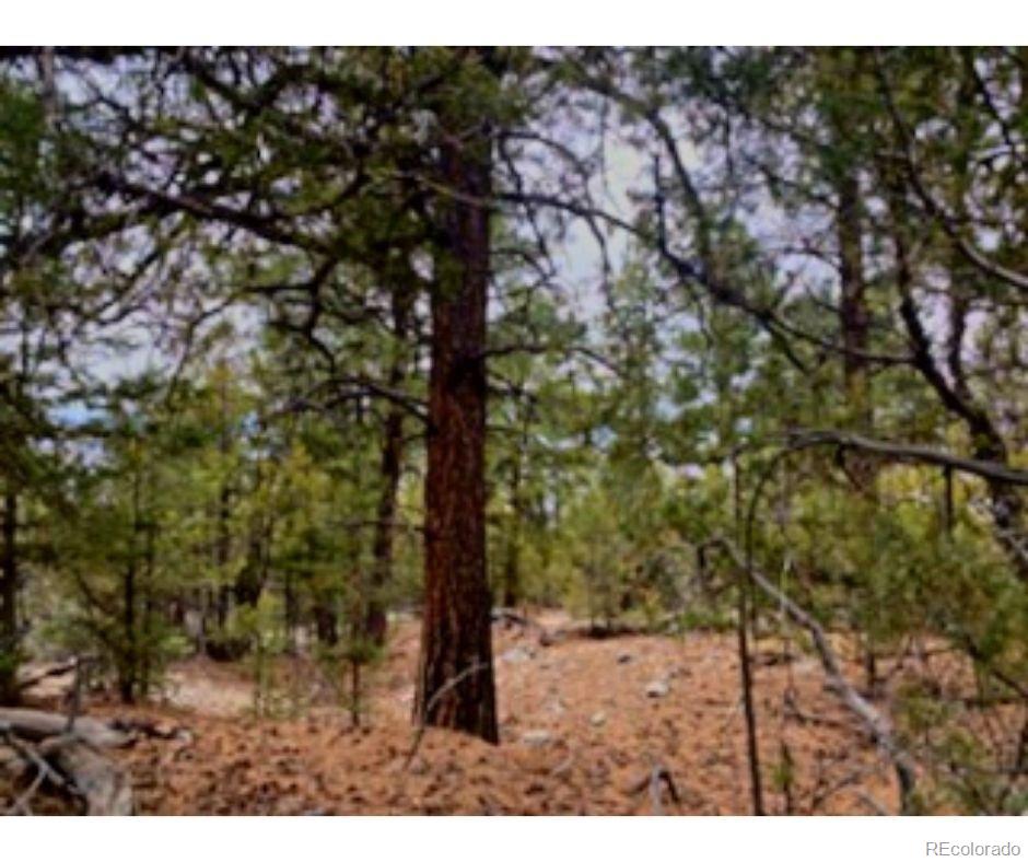 Pawnee Court Mosca, CO 81146 - Photo 11 of 19