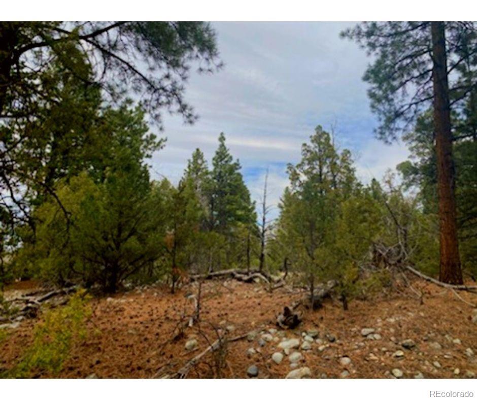 Pawnee Court Mosca, CO 81146 - Photo 13 of 19 a view of outdoor space and yard