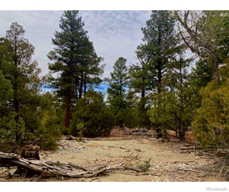 Pawnee Court Mosca, CO 81146 - Photo 14 of 19 a view of outdoor space and yard