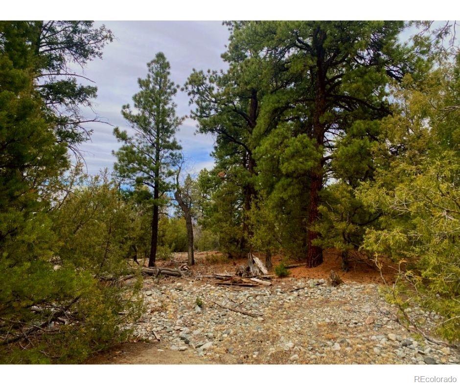 Pawnee Court Mosca, CO 81146 - Photo 15 of 19 a view of outdoor space