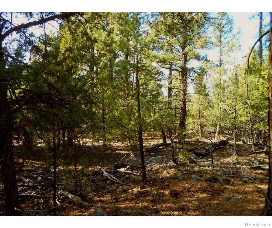 Pawnee Court Mosca, CO 81146 - Photo 16 of 19 a view of outdoor space and garden