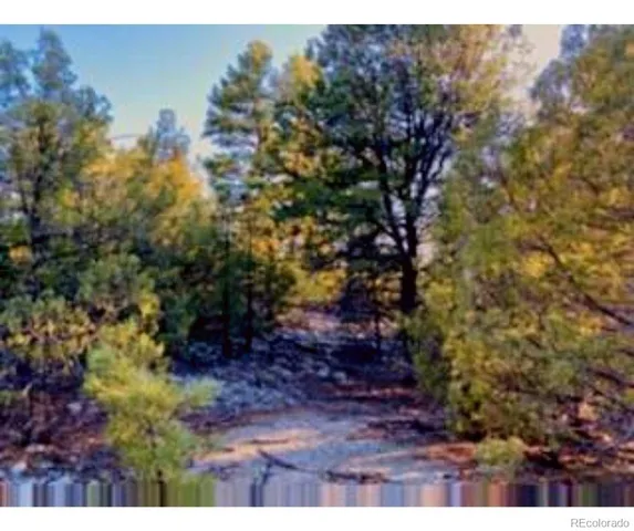 $25,000 | Pawnee Court, Mosca, CO 81146