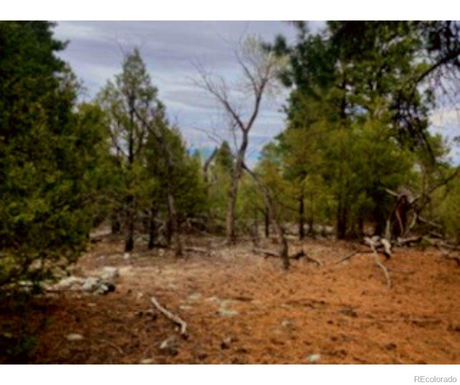 Pawnee Court Mosca, CO 81146 - Photo 9 of 19 a backyard of a house with lots of green space