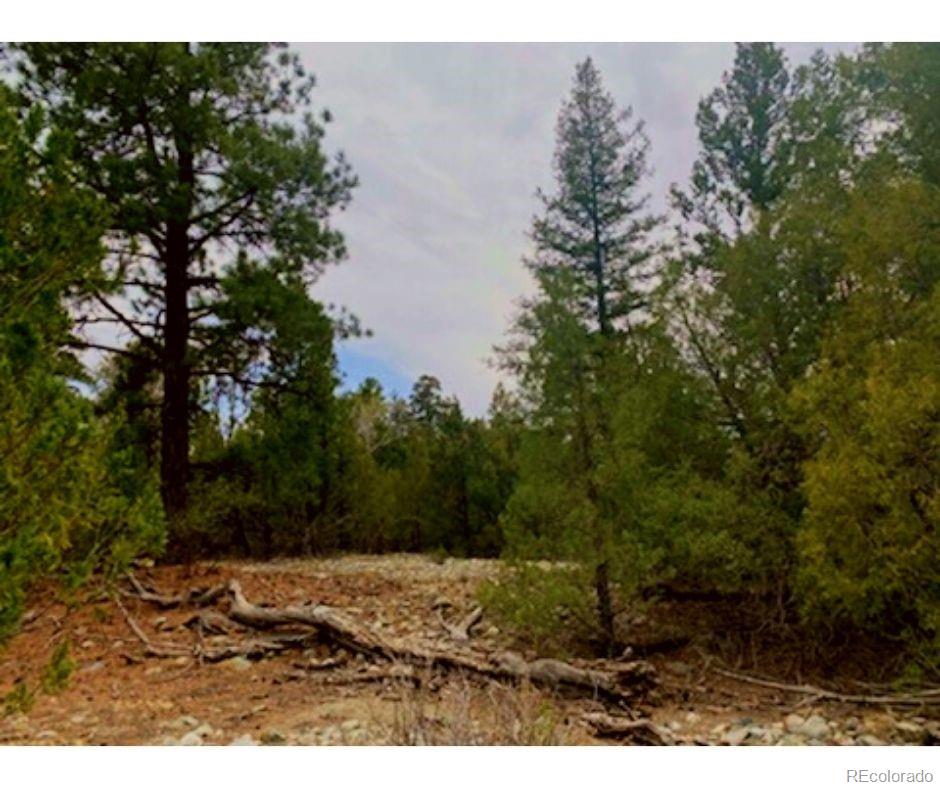Pawnee Court Mosca, CO 81146 - Photo 10 of 19 a view of outdoor space and yard