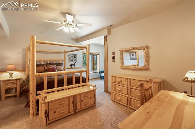 11155 Elk Ridge South Divide, CO 80814 - Photo 29 of 38