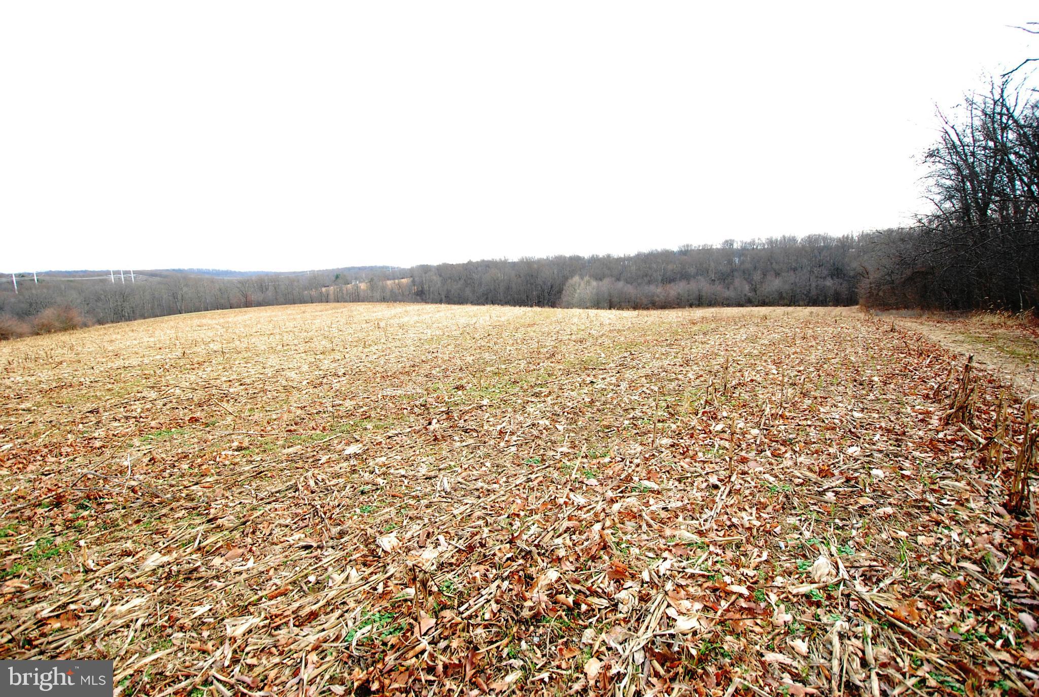 28055 Ridge Road Mount Airy, MD 21771 - Photo 20 of 30 a view of an ocean