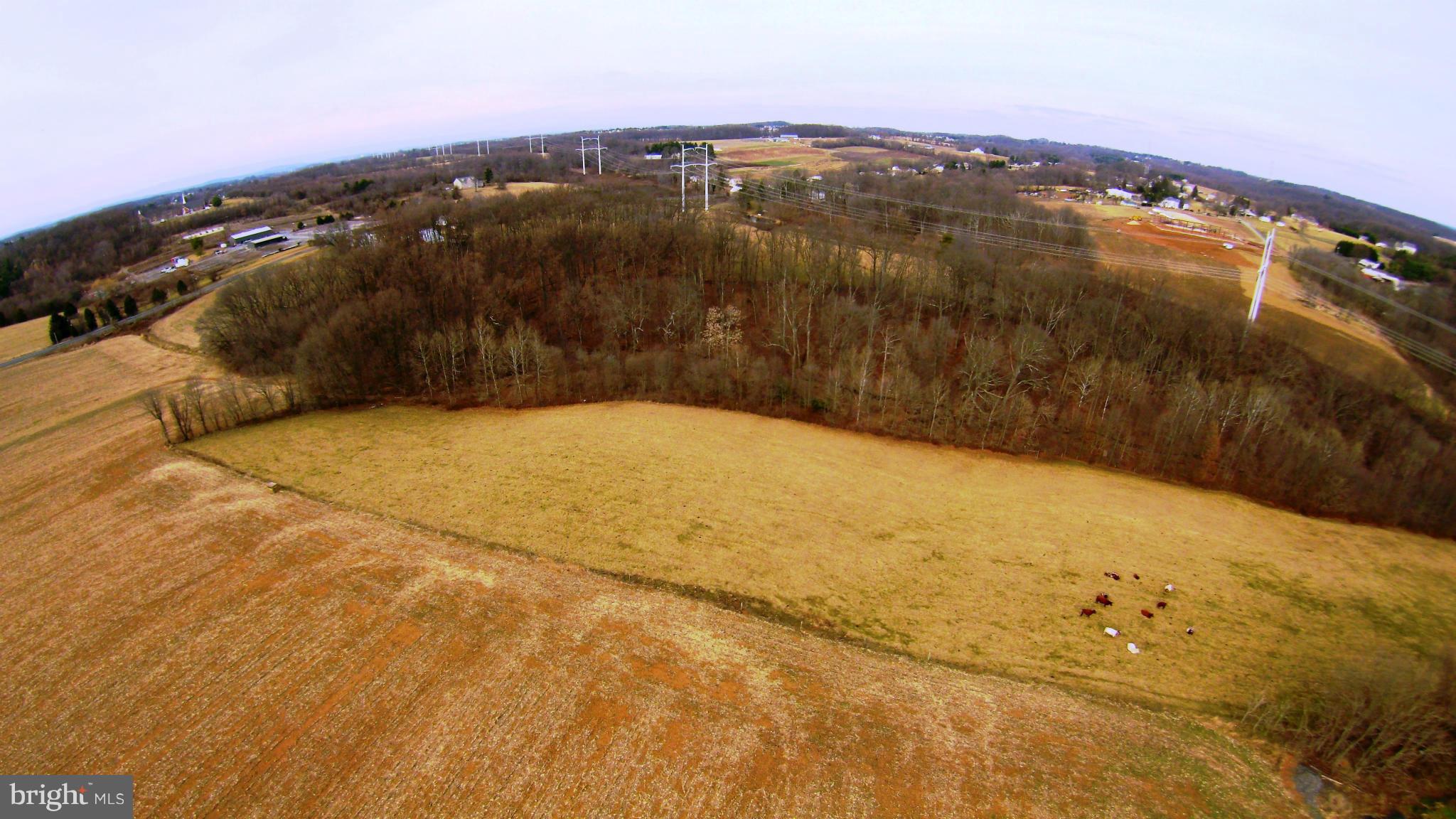 28055 Ridge Road Mount Airy, MD 21771 - Photo 29 of 30