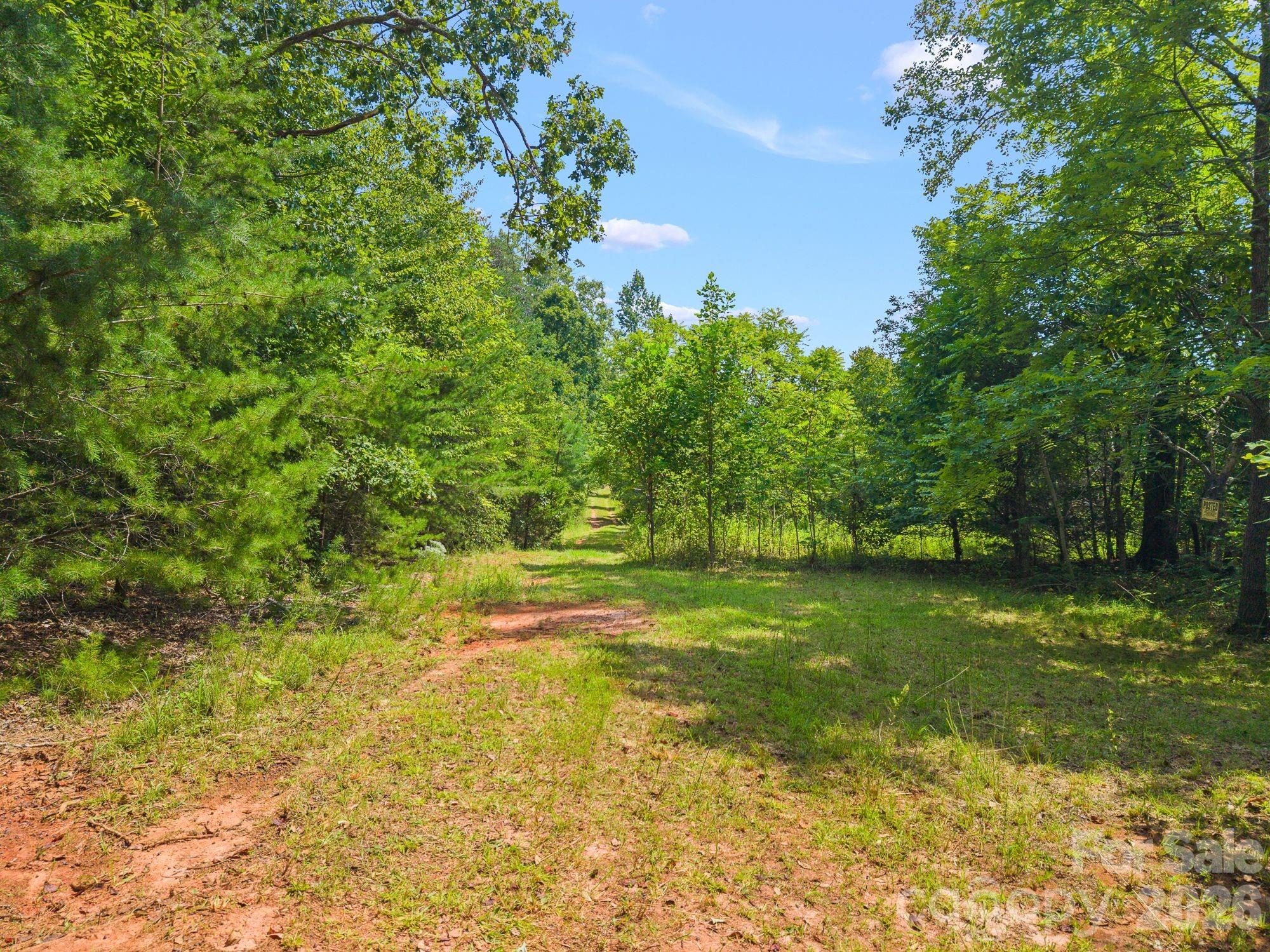 0 Chilly Bowl Road Rutherfordton, NC 28139 - Photo 13 of 18 Gallery Image 13