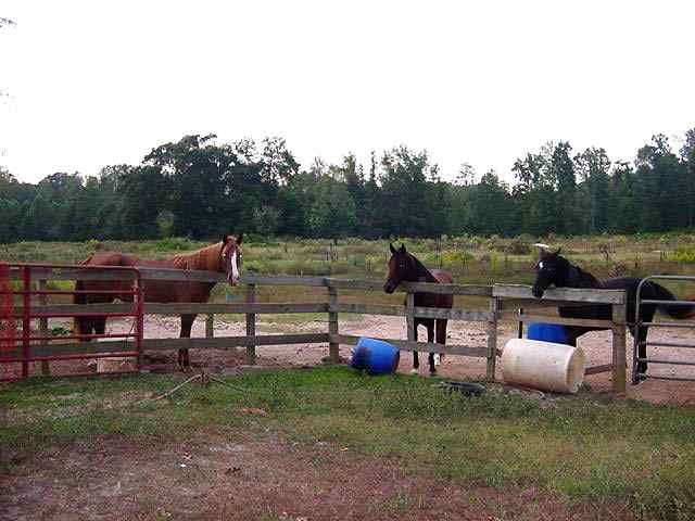198 Jewell Road Easley, SC 29642 - Photo 3 of 9