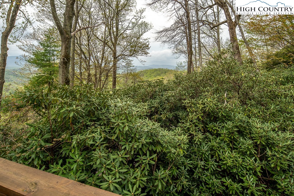 160 Azalea Hill Boone, NC 28607 - Photo 19 of 48 Gallery Image 19