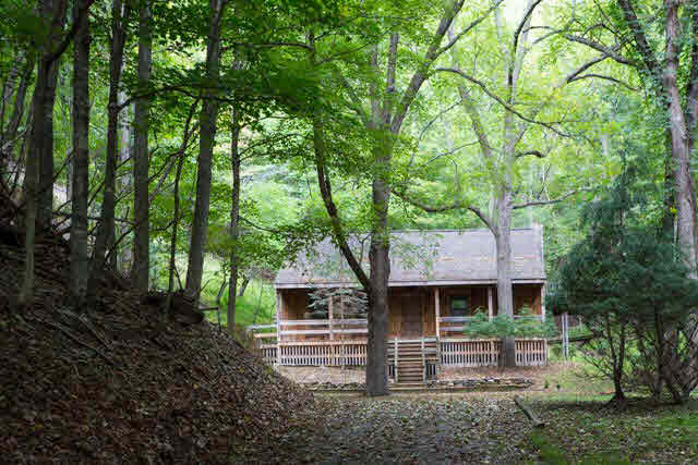 8338 Reeds Creek Road Franklin, WV 26866 - Photo 2 of 26 front view of a house with a tree