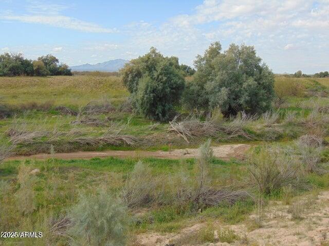 0 West Curry Road, Unit A4 Eloy, AZ 85131 - Photo 5 of 15 10