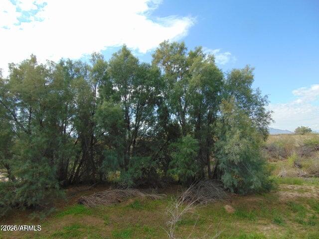 0 West Curry Road, Unit A4 Eloy, AZ 85131 - Photo 8 of 15 7