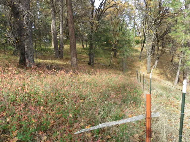 a view of a small yard