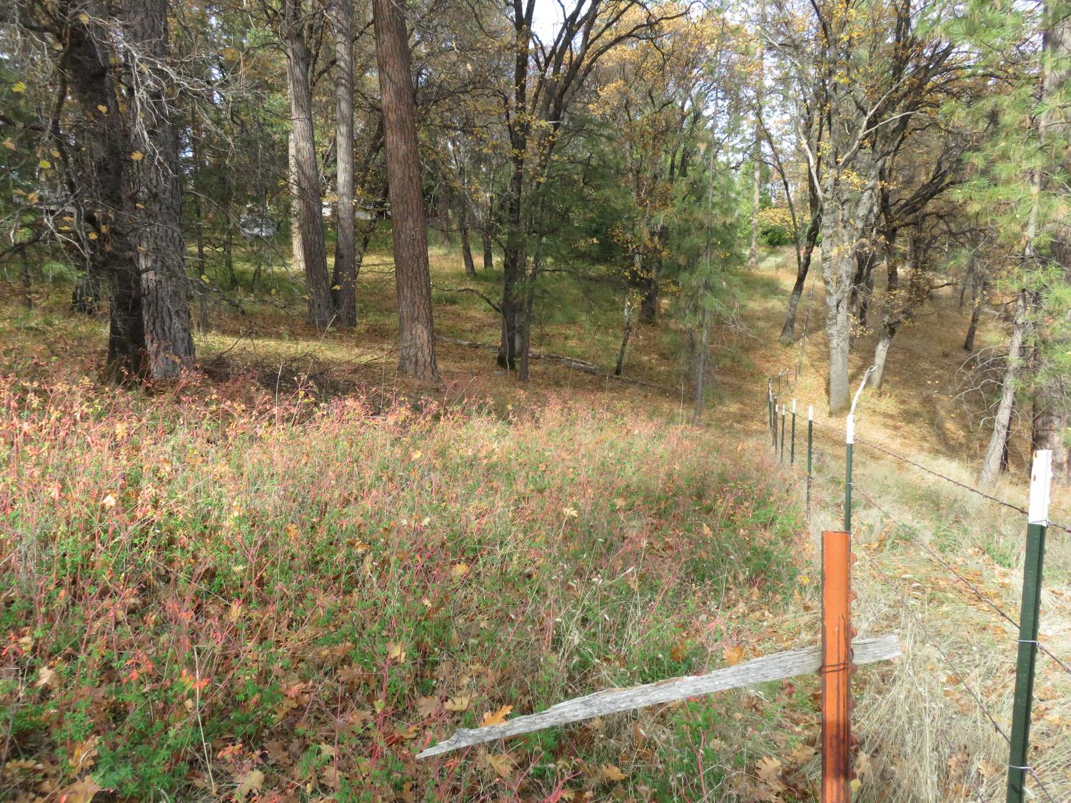 850 Barbara Lane West Point, CA 95255 - Photo 12 of 28 a view of a small yard