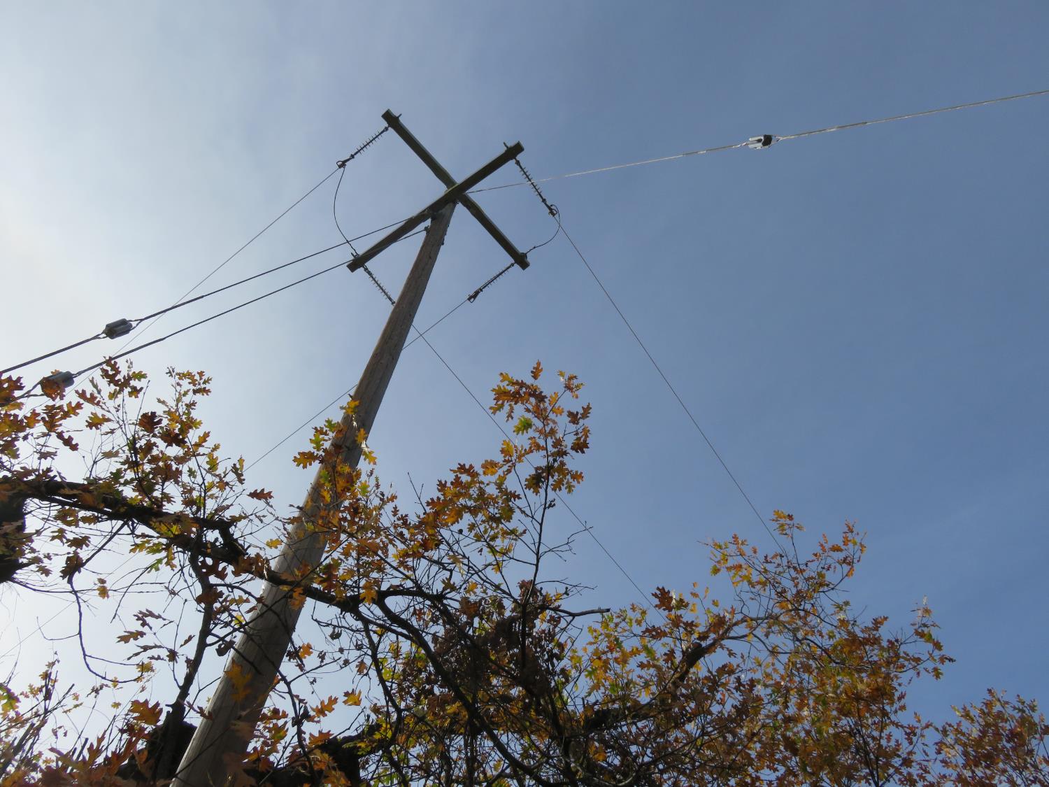 850 Barbara Lane West Point, CA 95255 - Photo 16 of 28 a vase of flowers sitting on a floor in a yard