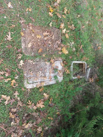 a view of a tree with a yard