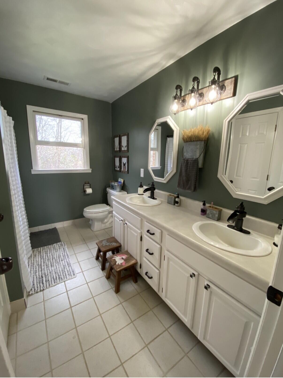 4670 Brookridge Road Hardy, VA 24101 - Photo 27 of 69 a bathroom with a double vanity sink mirror and toilet