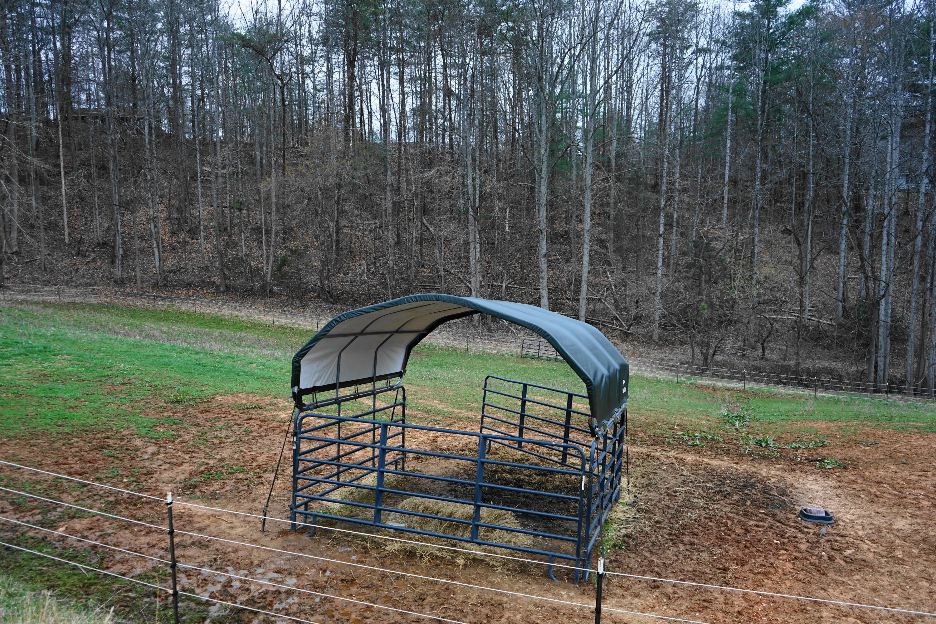 4670 Brookridge Road Hardy, VA 24101 - Photo 49 of 69 a view of swimming pool with a backyard and trees