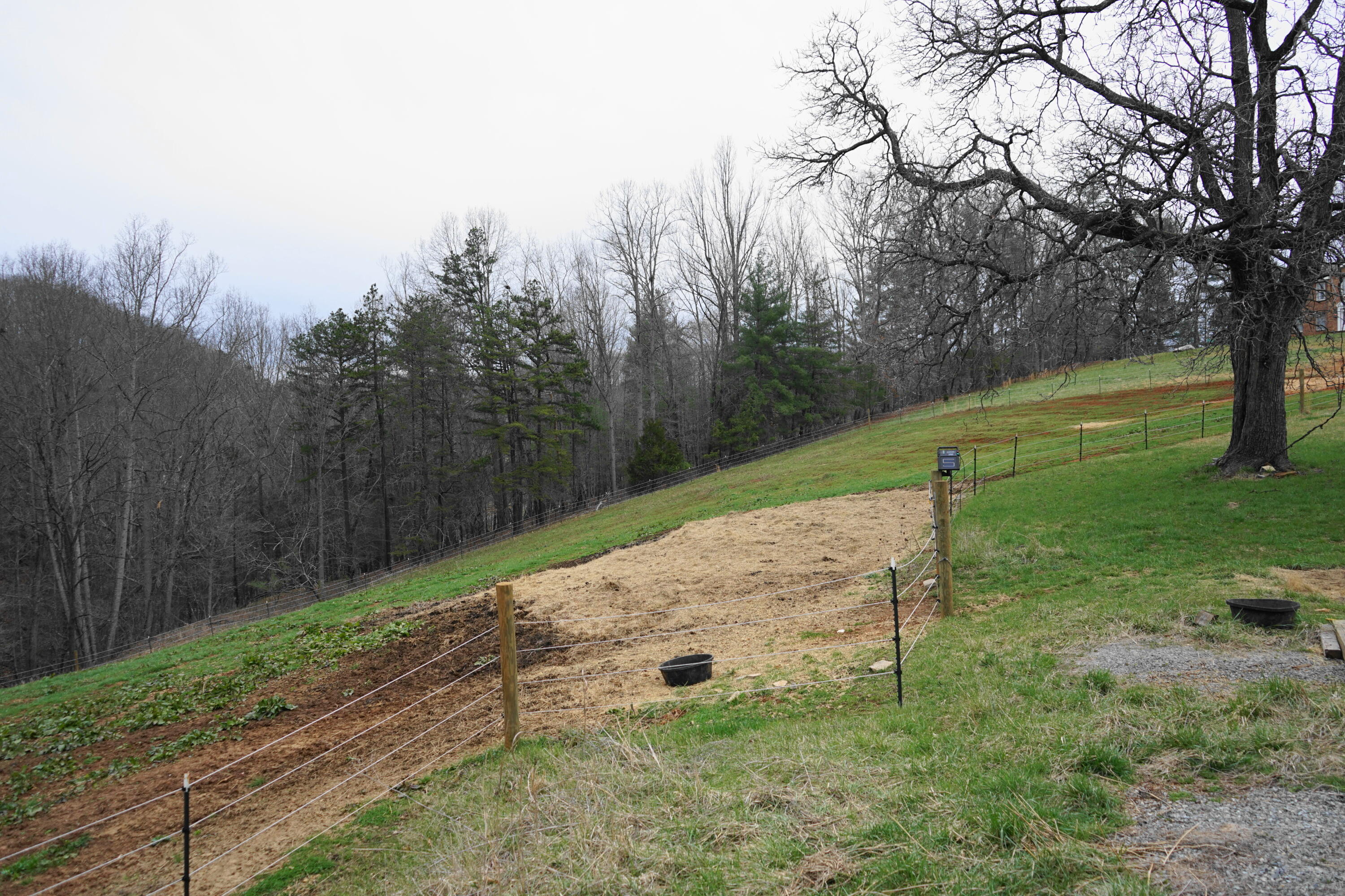 4670 Brookridge Road Hardy, VA 24101 - Photo 50 of 69 Fenced Pasture in front of Main Home