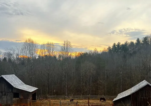 $895,000 | 4670 Brookridge Road, Hardy, VA 24101