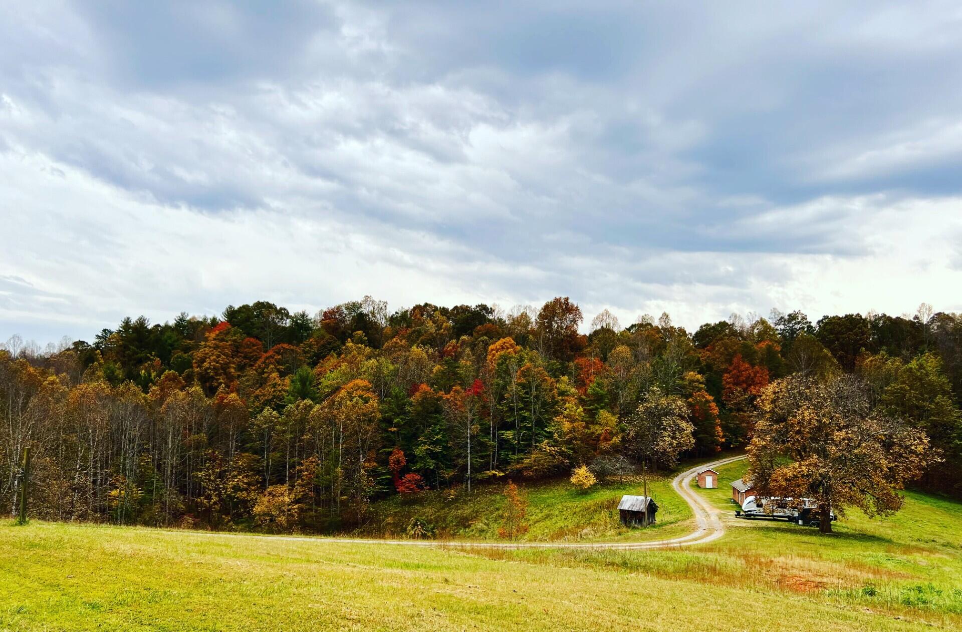 4670 Brookridge Road Hardy, VA 24101 - Photo 55 of 69 Beautiful Autumn View