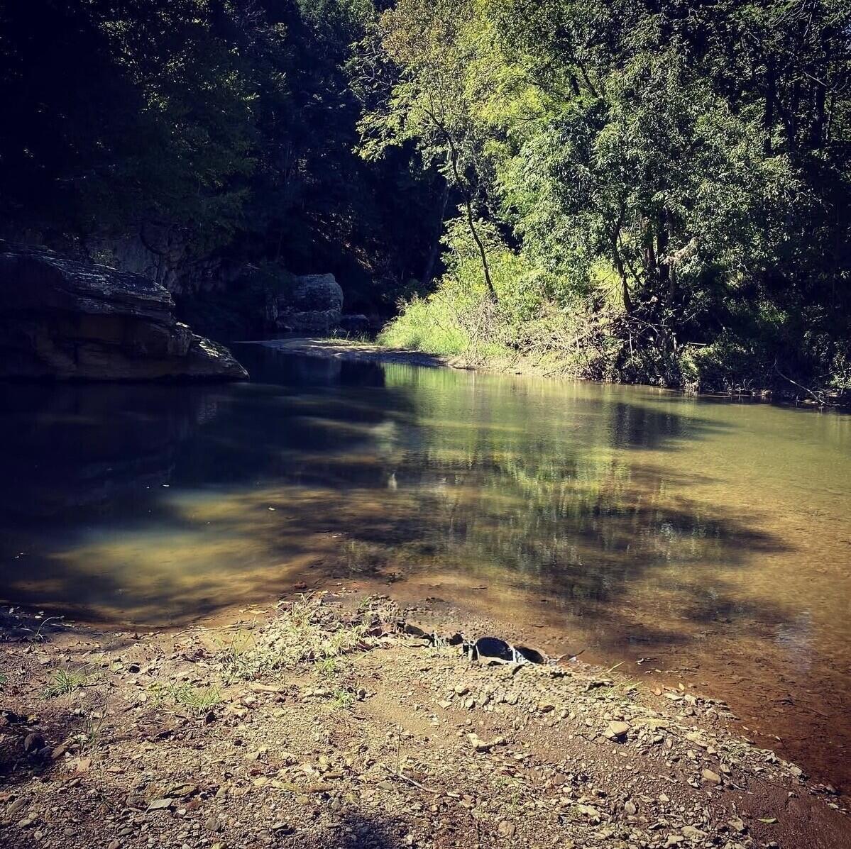 4670 Brookridge Road Hardy, VA 24101 - Photo 58 of 69 Swimming Hole