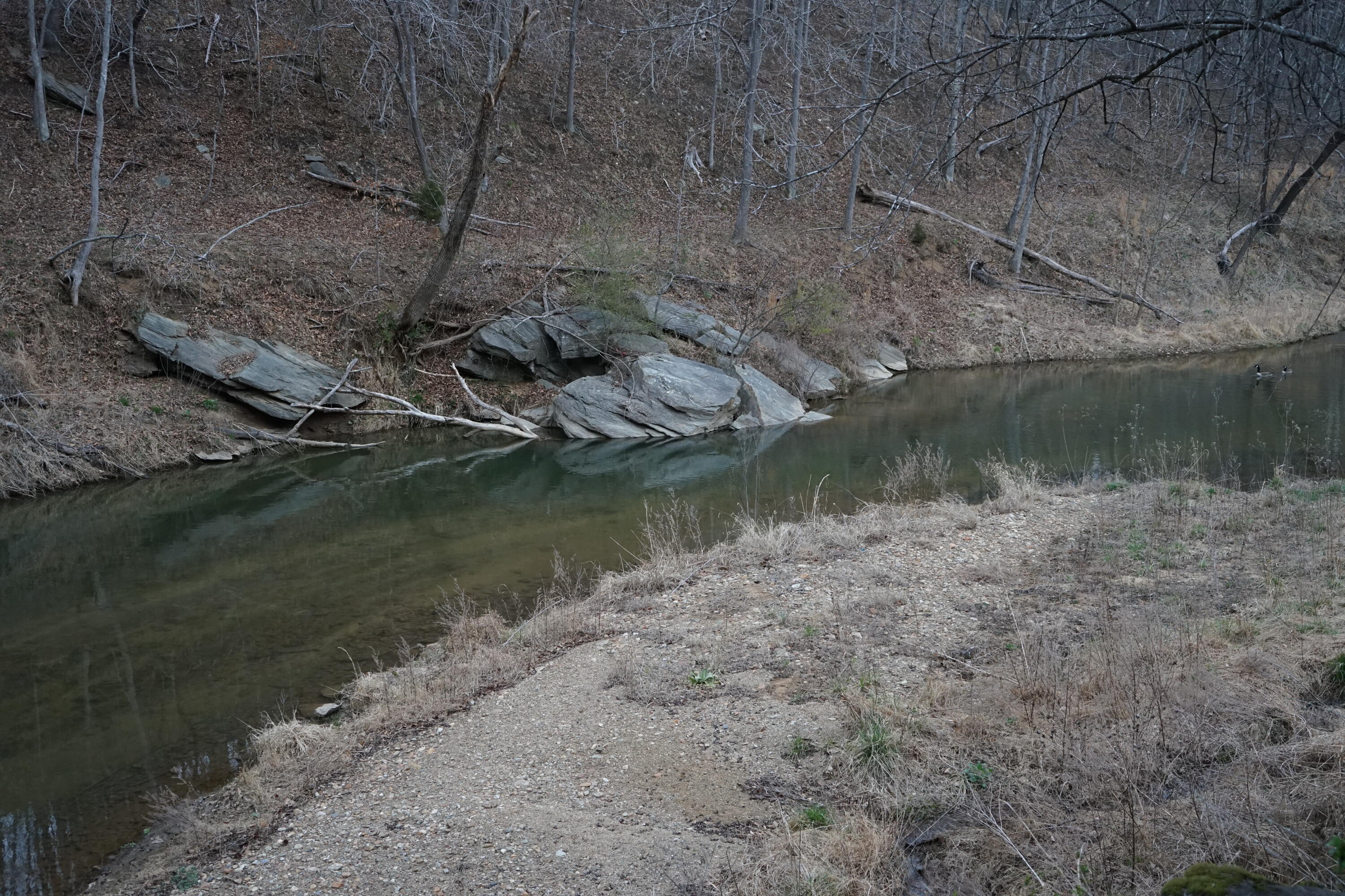 4670 Brookridge Road Hardy, VA 24101 - Photo 65 of 69 "Beach" Area & Swimming Hole