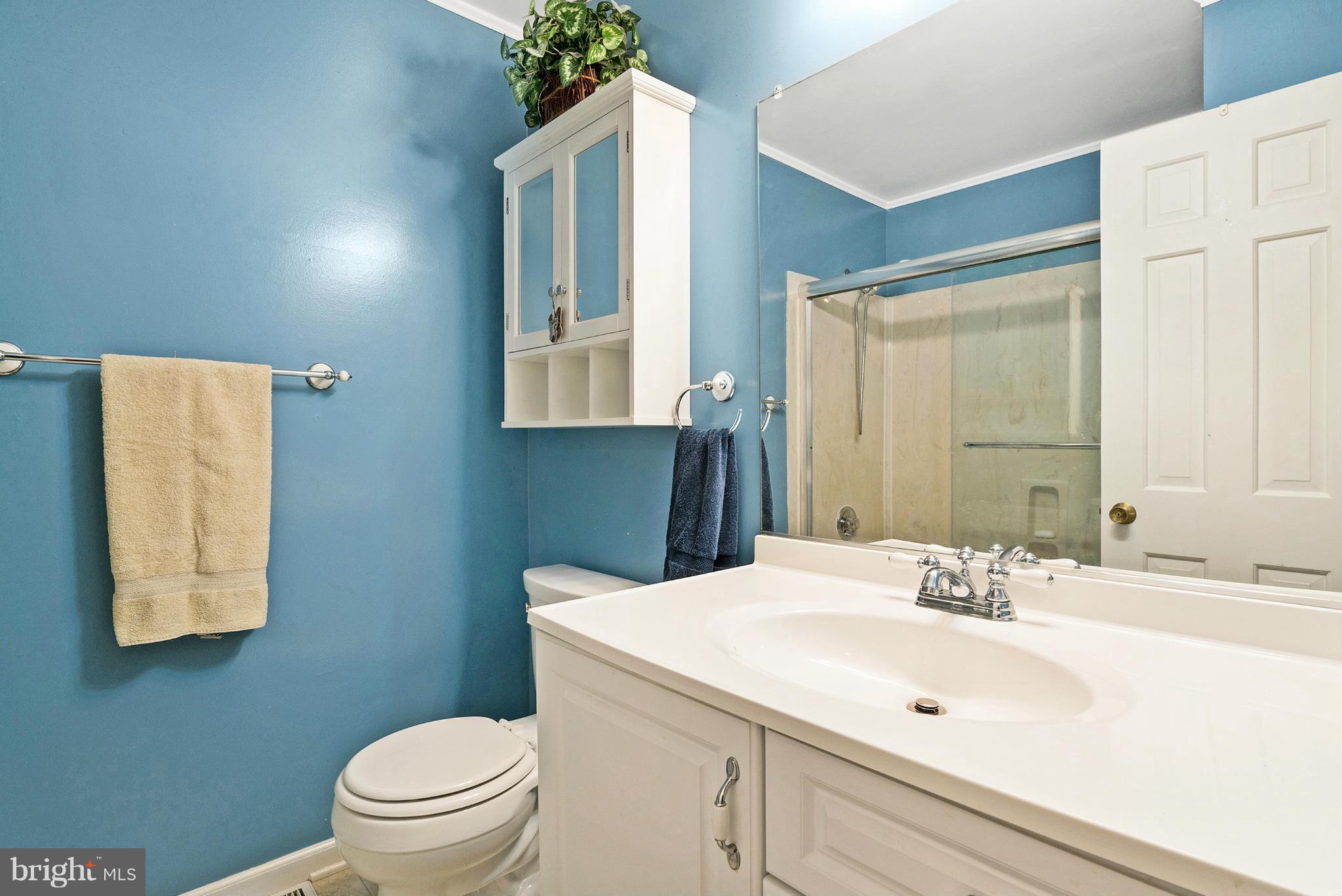 7219 Forrest Road Warrenton, VA 20187 - Photo 21 of 30 Main level Bathroom