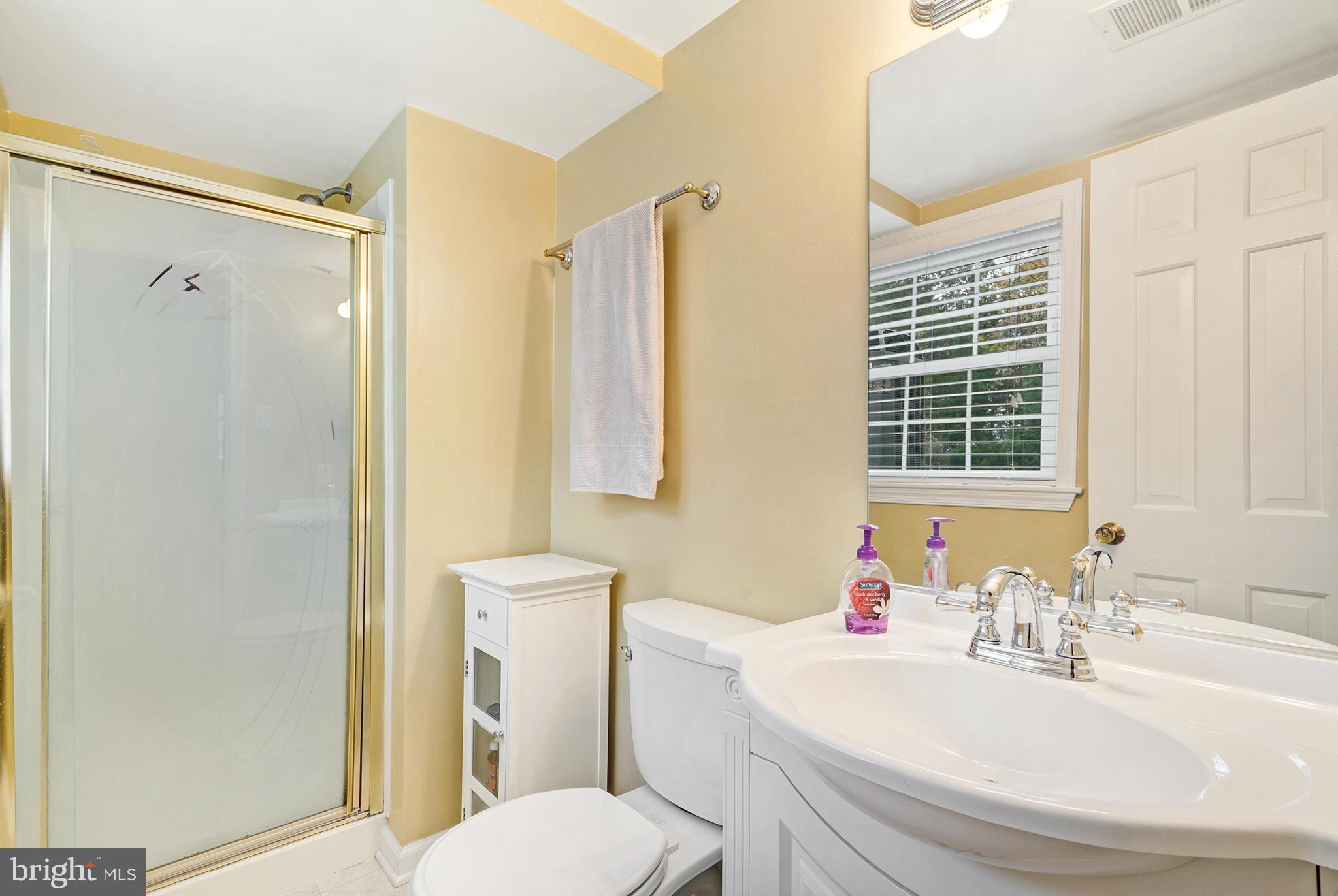 7219 Forrest Road Warrenton, VA 20187 - Photo 25 of 30 Lower level Bathroom