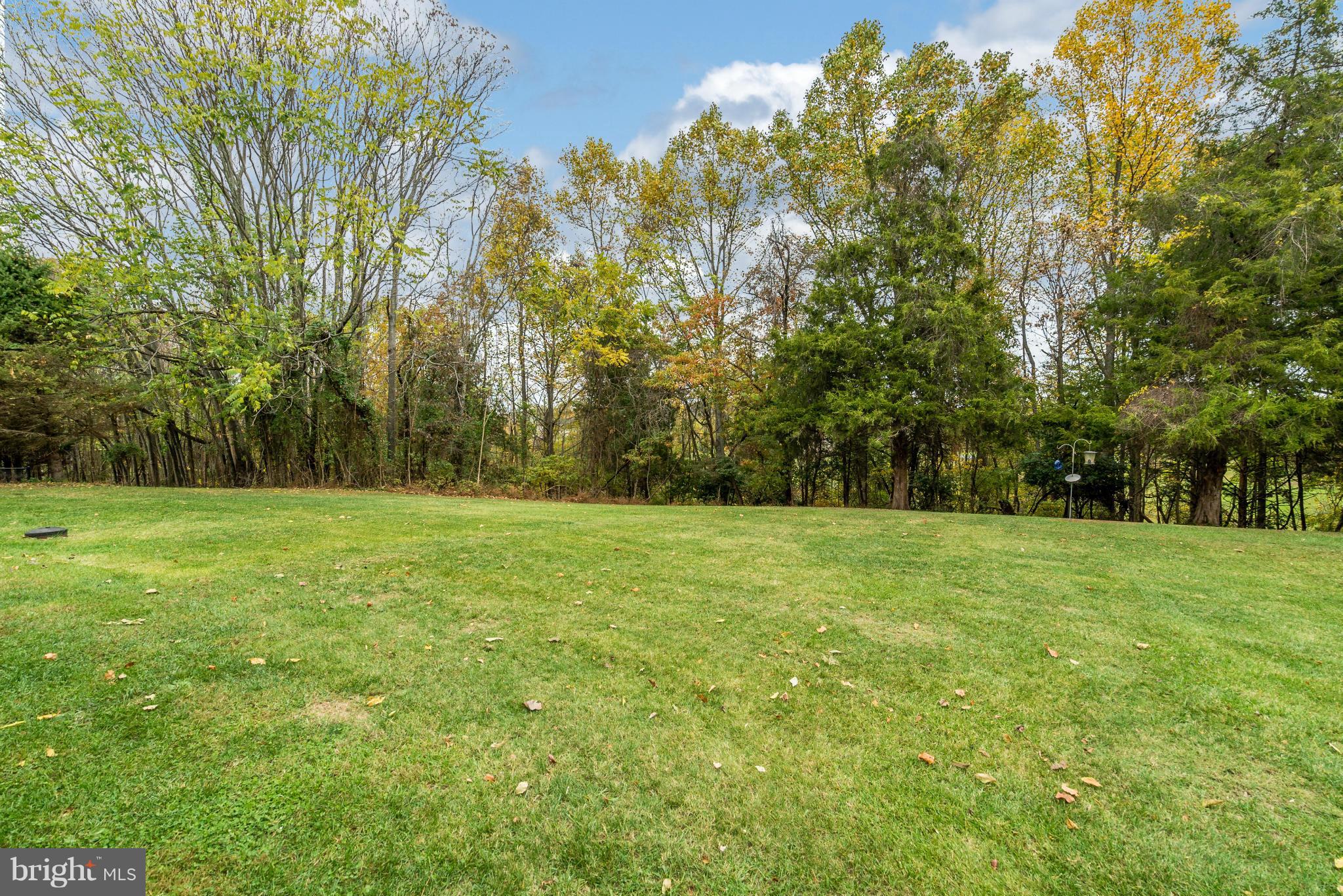 7219 Forrest Road Warrenton, VA 20187 - Photo 29 of 30 Backyard