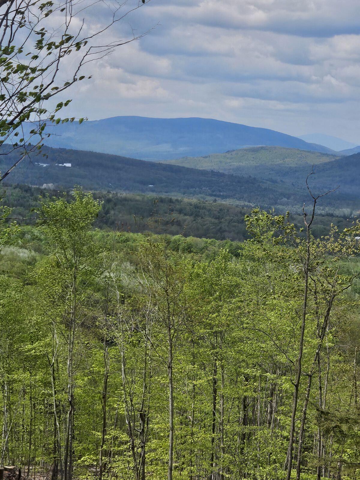 40.9 Streaked Mountain Road Hartford, ME 04220 - Photo 9 of 25 image000001