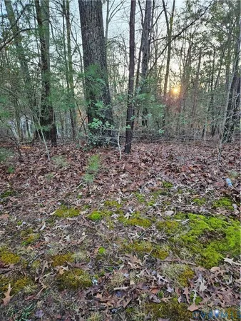 $79,900 | 291 Land Or Drive, Ruther Glen, VA 22546