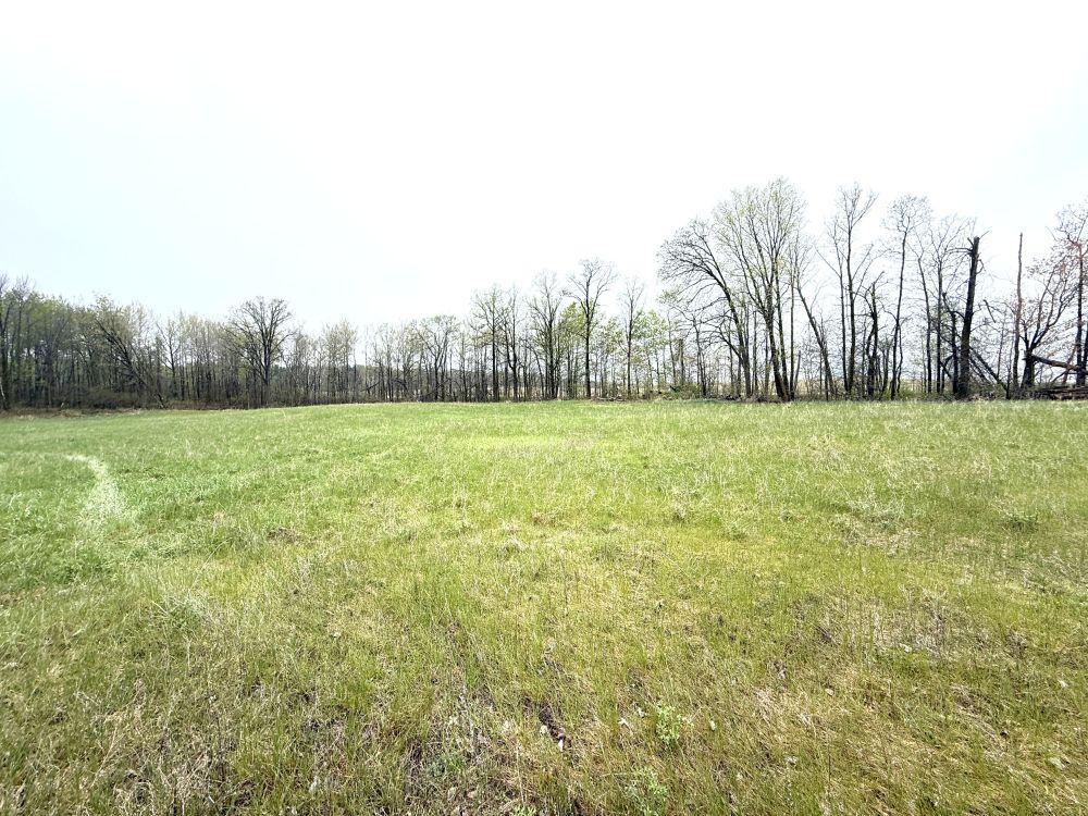 36 Co Highway 36 Frazee, MN 56544 - Photo 58 of 61