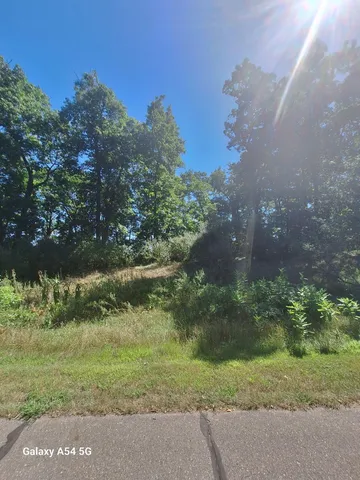 $41,500 | Lot #78 Lake Bluff, Grass Lake, MI 49240