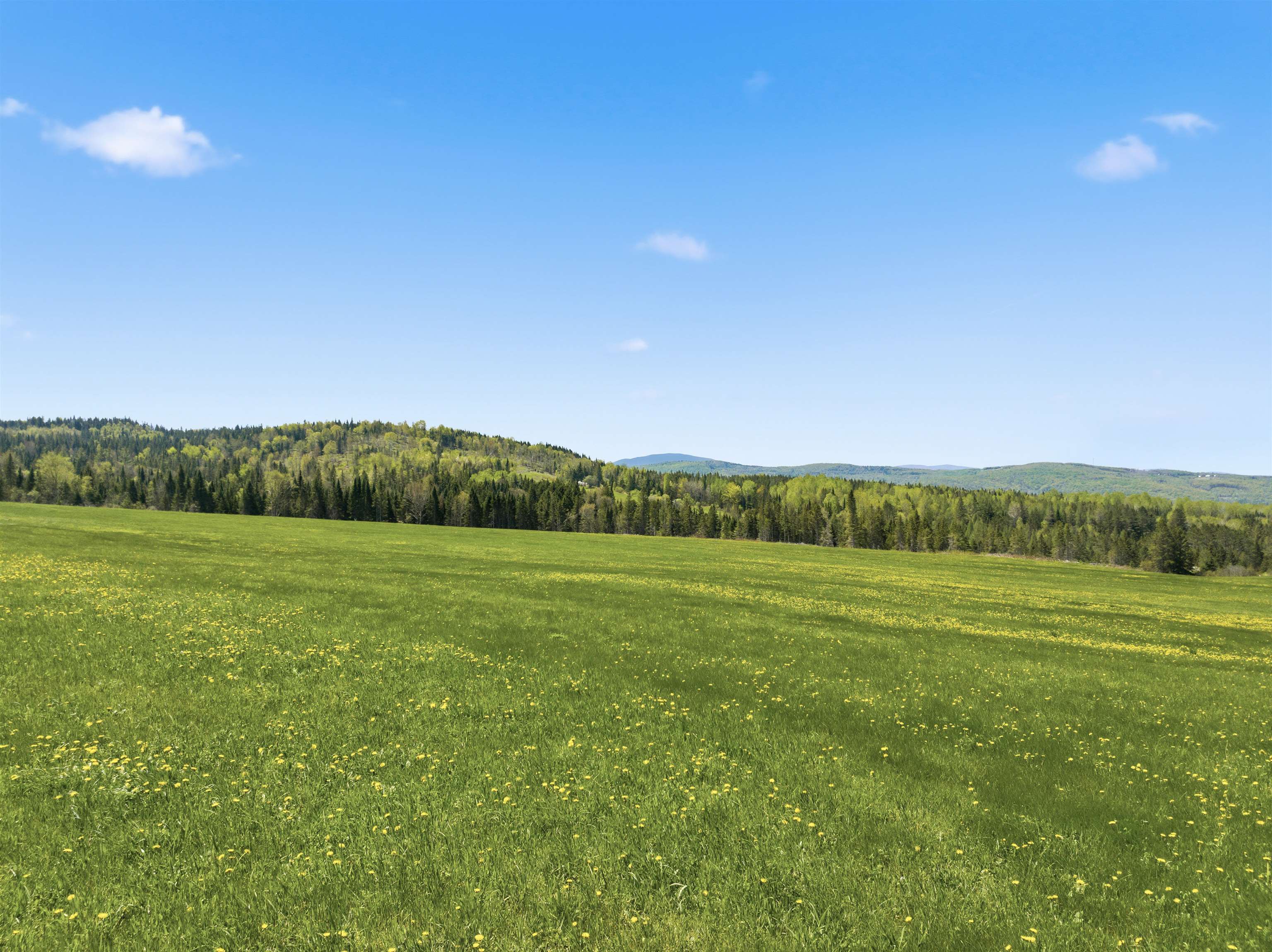 Lot 1 Creampoke Road Stewartstown, NH 03576 - Photo 14 of 23
