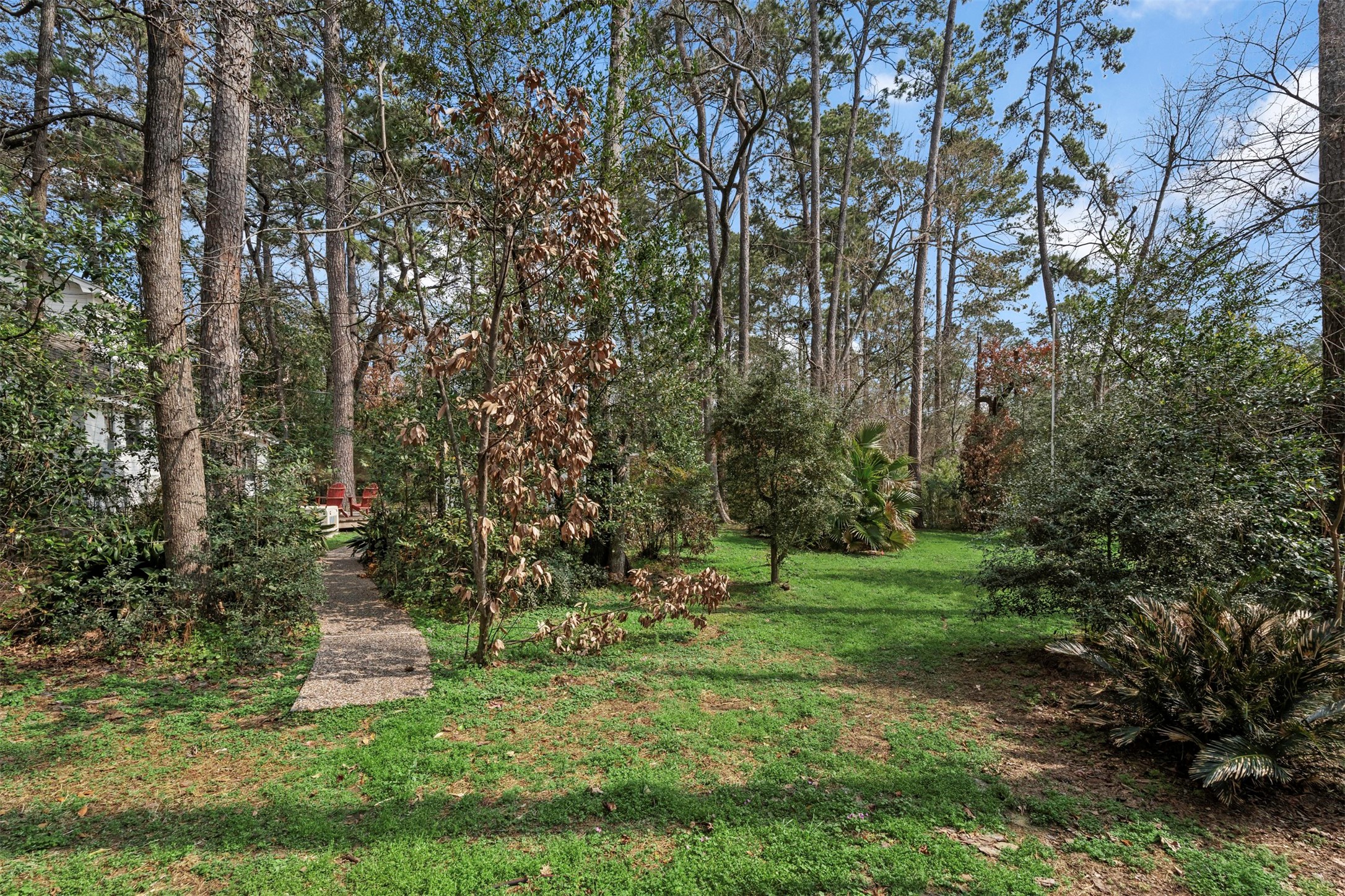 2322 Shadow Glen Lane Spring, TX 77386 - Photo 37 of 48 Walking path to the smaller home. Gorgeous wooded grounds!