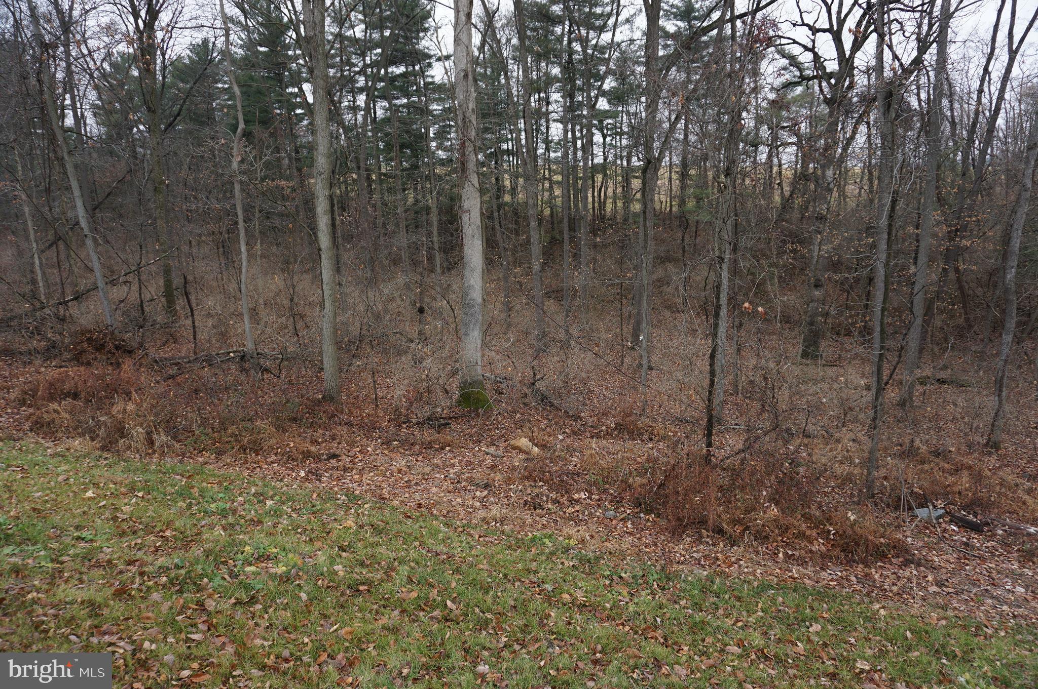 115 Center Road Airville, PA 17302 - Photo 51 of 58 Gallery Image 51