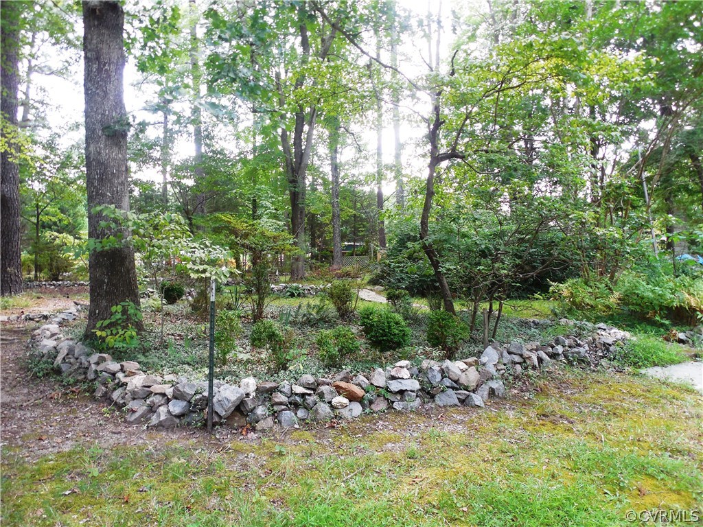 10322 Colemans Lake Road Ford, VA 23850 - Photo 25 of 49 a view of a park with a tree