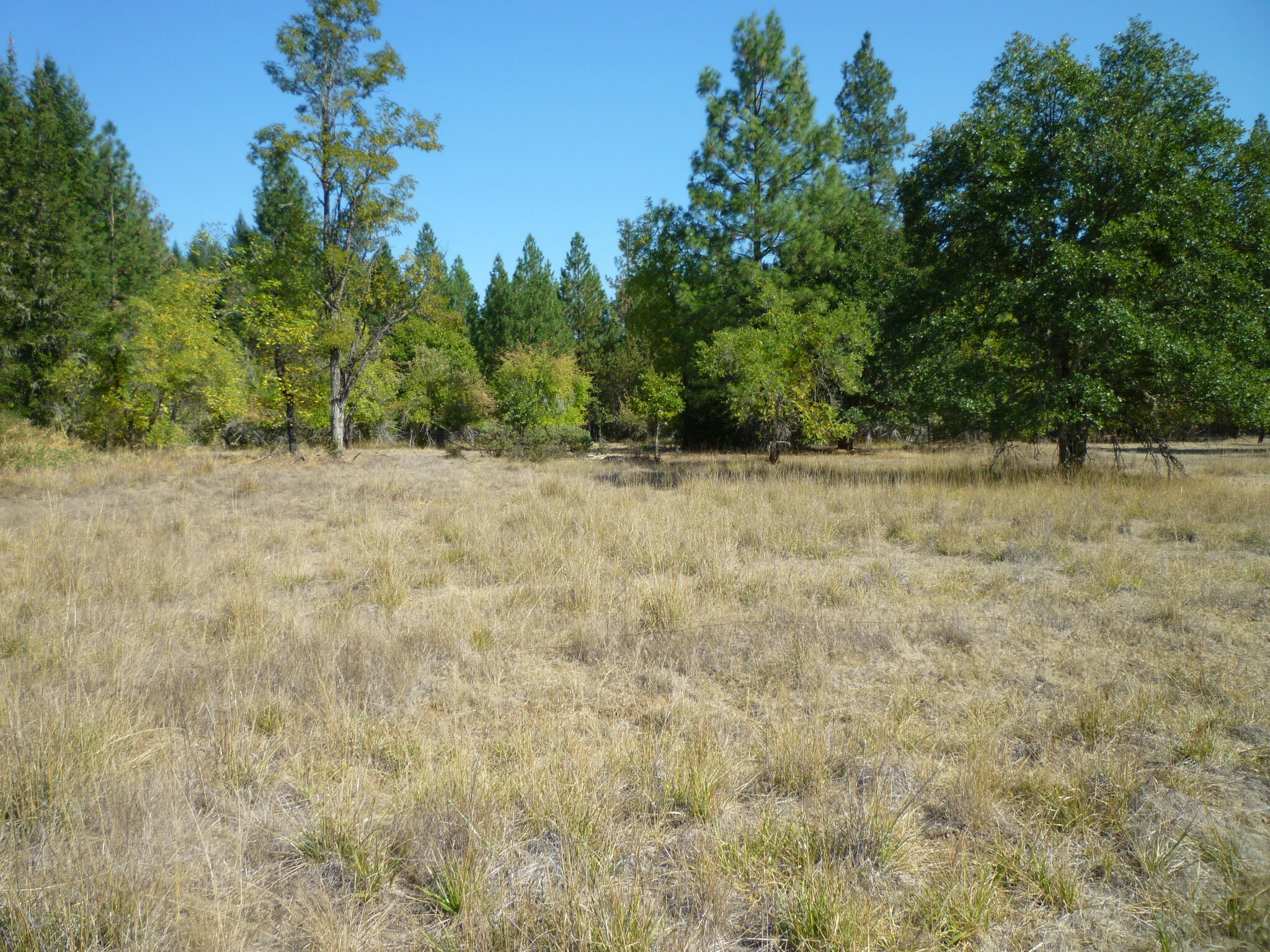 4125 Dick George Road Cave Junction, OR 97523 - Photo 49 of 50 P1160083