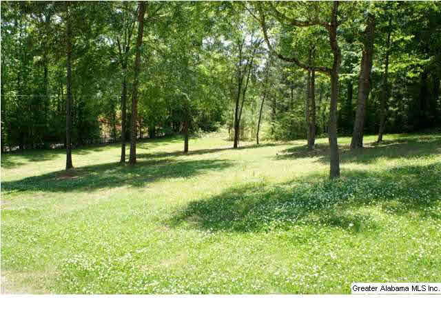 1060 Peaceful Valley Road Eastaboga, AL 36260 - Photo 18 of 22