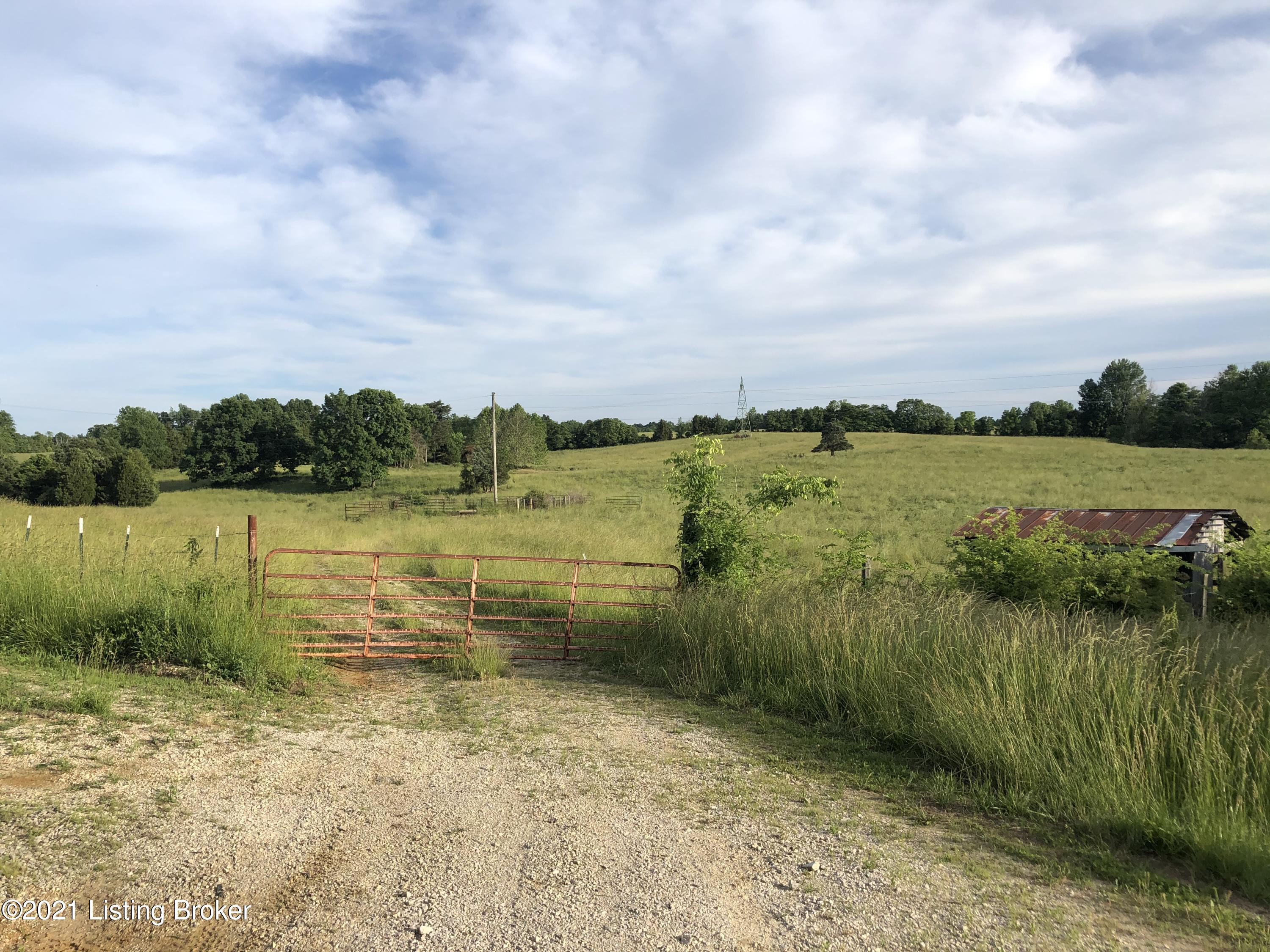 Open Field